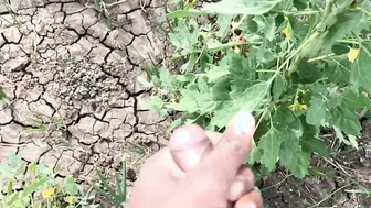 Desi Aunty Shows Off Her Wet Pussy In Full Sexy Display