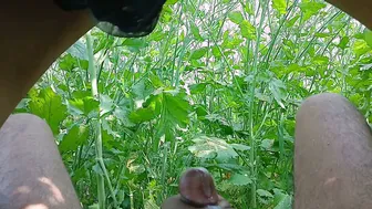 Indian Sister In Law Fucked Outdoors In The Mustard Field Village