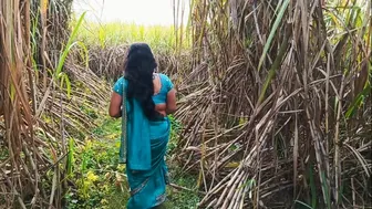 Indian Husband Tears Up Wife's Ass In Sugarcane Field Sex Video