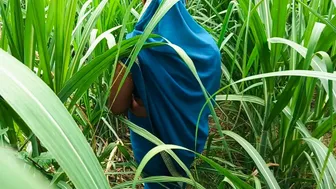 Indian Bhabhi Takes Cock In Mouth And Ass In Sugarcane Field Today