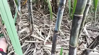 Tamil Village Couple Records Sex Tape For Local Porn Site Upload