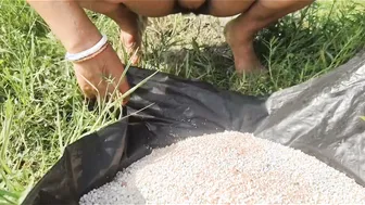 Desi Granny Squats To Piss In Open Farmland During Harvest Season