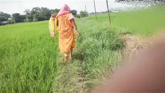 Desi Granny Squats To Piss In Open Farmland During Harvest Season