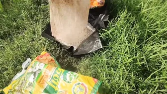 Desi Granny Squats To Piss In Open Farmland During Harvest Season