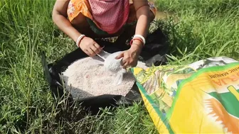 Desi Granny Squats To Piss In Open Farmland During Harvest Season