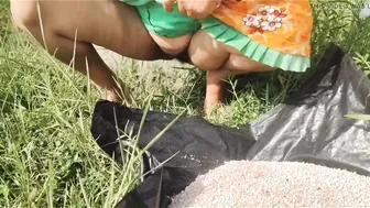 Desi Granny Squats To Piss In Open Farmland During Harvest Season