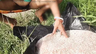 Desi Granny Squats To Piss In Open Farmland During Harvest Season