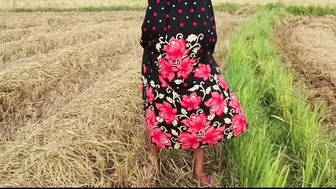 Desi Village Girl Pees In Paddy Field While Cutting Rice Outdoors