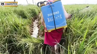 Bengali Bhabhi Nomita Spraying Rice Fields While Talking Dirty Audio