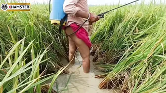 Bengali Bhabhi Nomita Spraying Rice Fields While Talking Dirty Audio