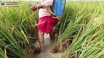 Bengali Bhabhi Nomita Spraying Rice Fields While Talking Dirty Audio
