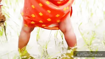 Desi Woman Peeing Openly While Planting Rice In The Village Fields