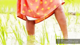 Desi Woman Peeing Openly While Planting Rice In The Village Fields