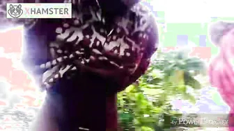 Desi Girl Fucked Raw In The Empty Forest By Her Lover