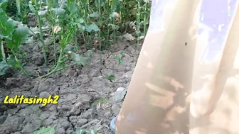 Desi Village Couple Pissing And Fucking Outdoors In Public Sex Video