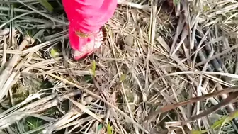 Desi Bhabhi Bent Over And Drilled Outdoors In Sugarcane Field Jungle