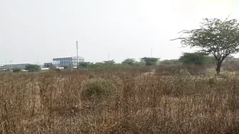 Desi Lovers Fucking Missionary Style Roughly In Jungle At Close Range