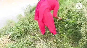 Indian Village Bhabhi Cheats On Husband Fucking Neighbor's Thick Cock Hard