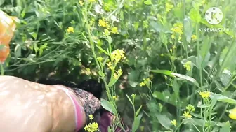 Indian Bhabhi And Devar First Outdoor Fuck Near Jungle Clearing Together