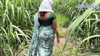 Indian Girl Walked Into The Sugarcane Field With Her Lover Following Behind