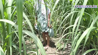 Indian Girl Walked Into The Sugarcane Field With Her Lover Following Behind