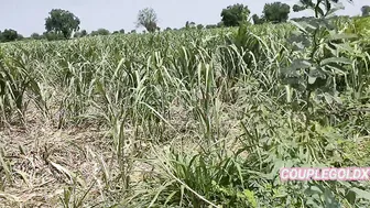 Desi Girl Weeping In Sugarcane Field Gets Caught And Fucked By The Owner