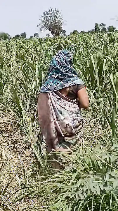 Desi Girl Weeping In Sugarcane Field Gets Caught And Fucked By The Owner