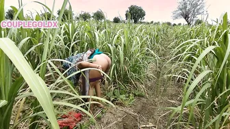Indian Farmhand Fucks Komal While She Works In The Agricultural Field