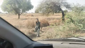 Desi Girl Peeing On Roadside Gets Pulled Into Car And Fucked By Stranger