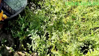 Desi Girl Fingering Herself Secretly In The Field When He Caught Her Doing