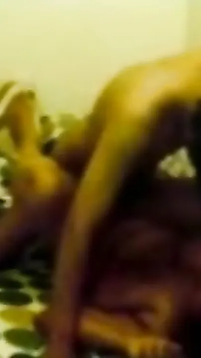 College Teacher And Her Student Fucking Hard Like Pro