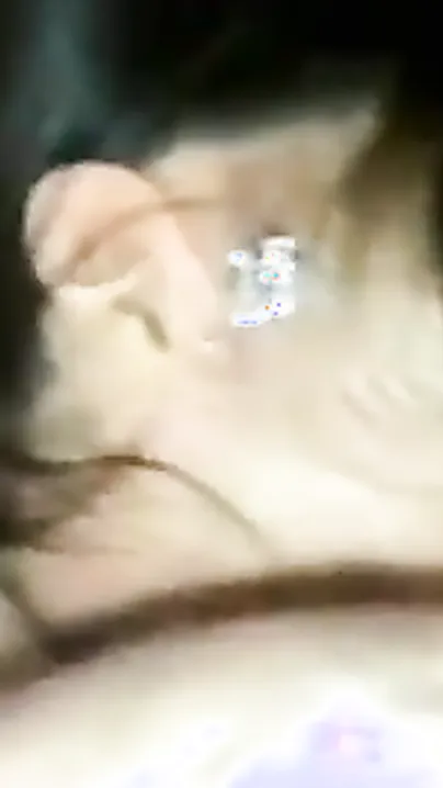 Lascivious And Hawt Maal Aunty Gives blow job before Sex