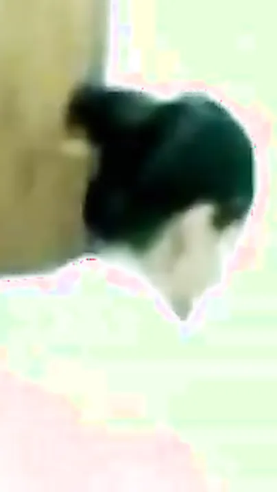 Maharashtra Dilettante gf recorded by boyfriend after Shower