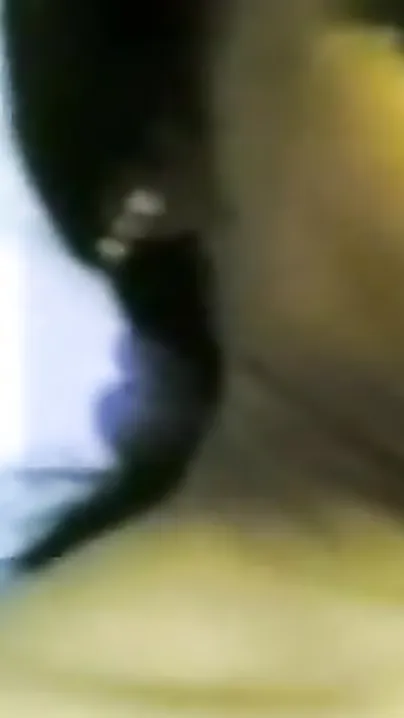 College Sex Teacher Sucks cock before sex