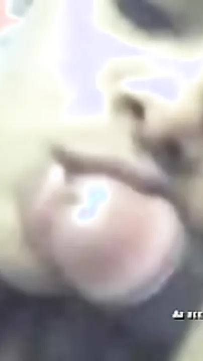 Concupiscent Teen College Girlfriend Can't live without Sucking Rods