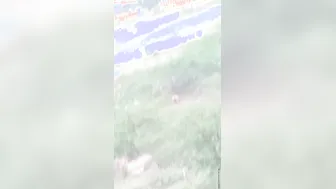 Desi Aunty Pees in the Open Field