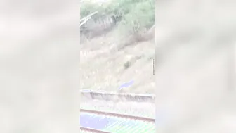 Desi Aunty Pees in the Open Field