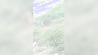 Desi Aunty Pees in the Open Field