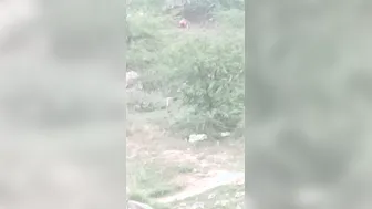 Desi Aunty Pees in the Open Field