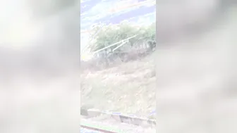 Desi Aunty Pees in the Open Field