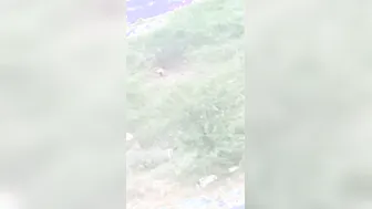 Desi Aunty Pees in the Open Field