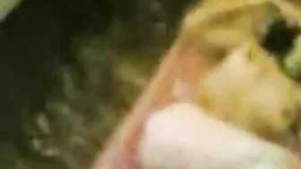 Desi Abode Wife Fucked Hardcore In Multiple Positions