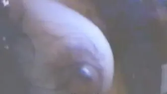 Breasty Indian Chick screwed hard and Oral-sex sex