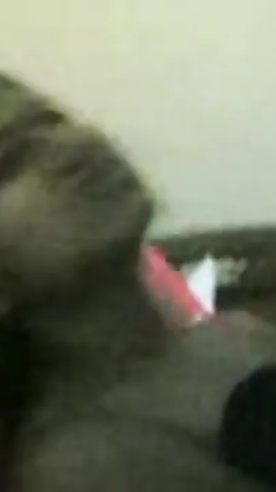Indian gang group-sex trickled mms clip with audio