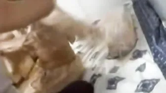 Juvenile NRI housewife fucked by servant