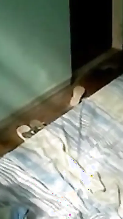 Desi Masala Bhabhi Getting Drilled Hard From Behind