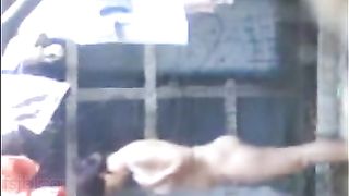 Concupiscent pair action out a dream