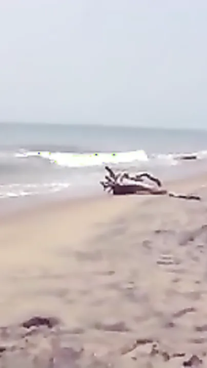 Desi sex of Indian bhabi showing milk sacks on sea beach